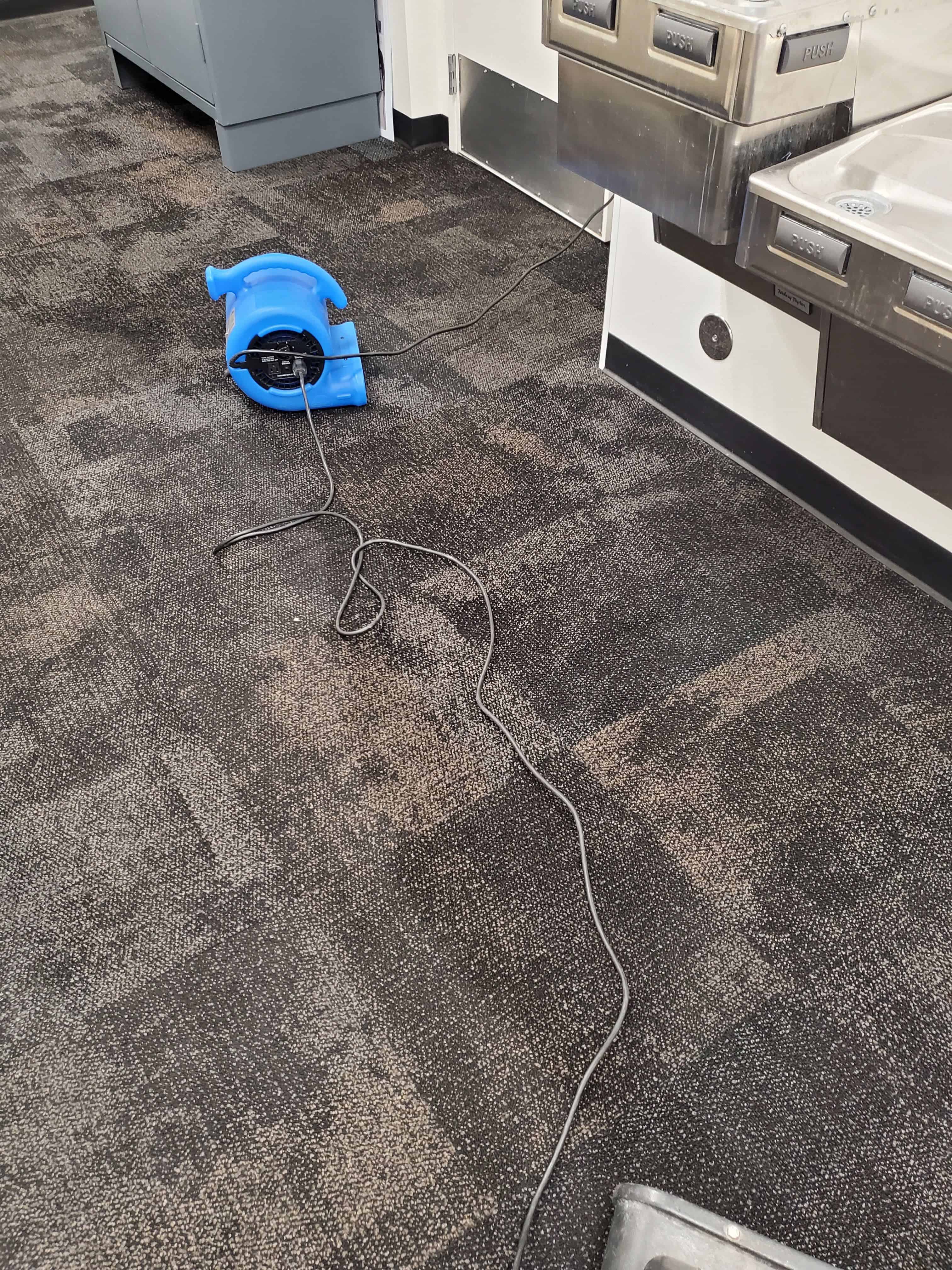 Carpet and Floor Cleaning image