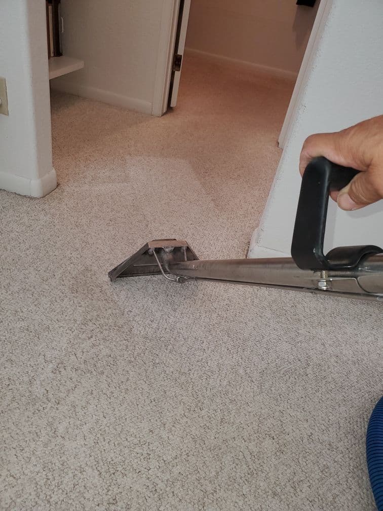 Transform Your Carpets with Professional Cleaning image