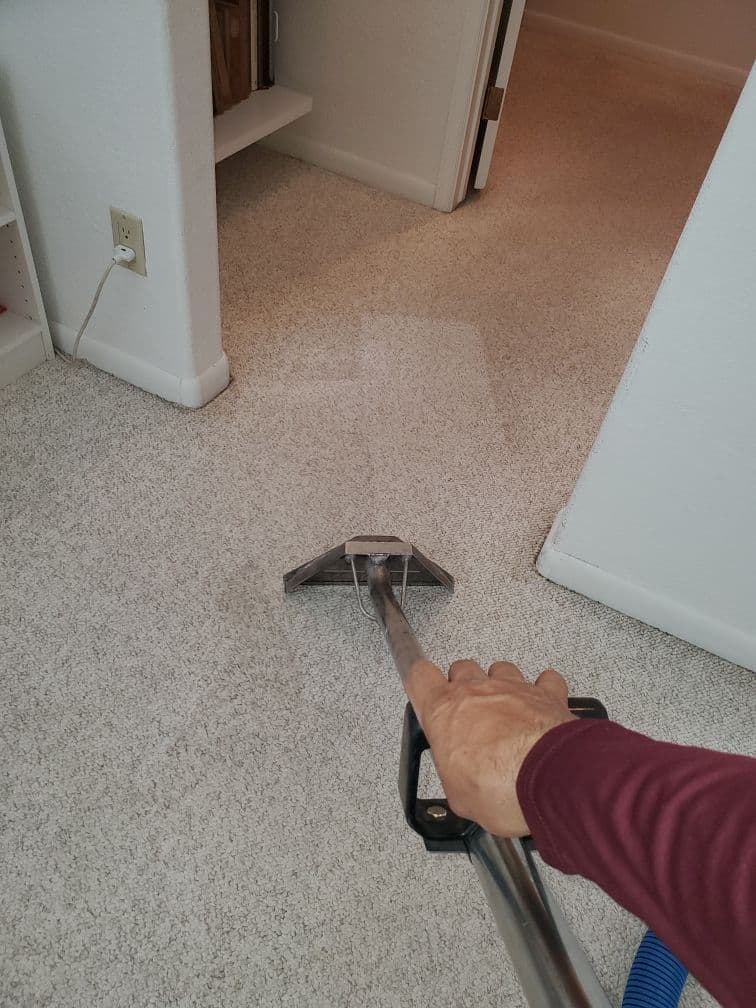 Gallery photos for Transform Your Carpets with Professional Cleaning: Image #1